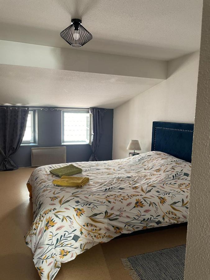 Appartement Cosy Rue Chaussee Verdun-sur-Meuse Eksteriør bilde